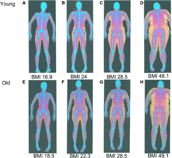 Figure 1.