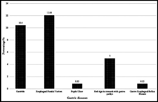 Fig.1