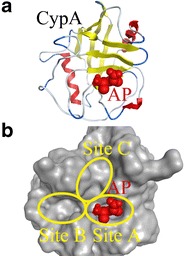 Fig. 1a,b