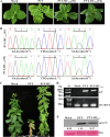 Fig 3