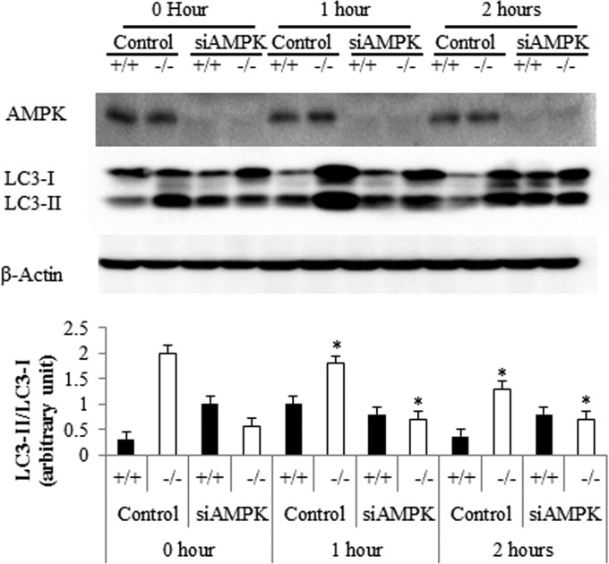 Fig 10