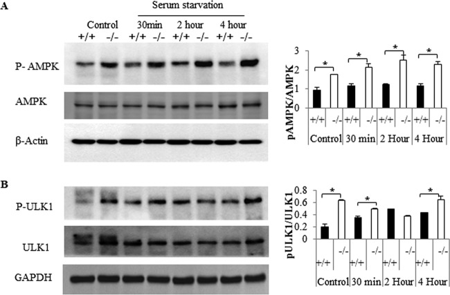 Fig 9