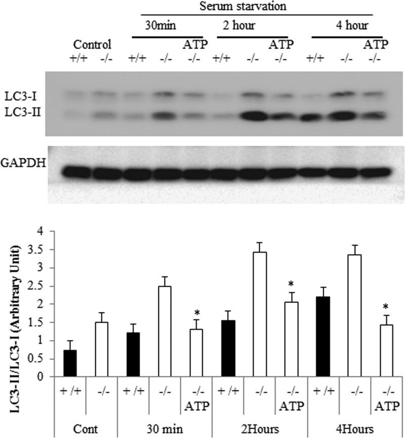 Fig 14