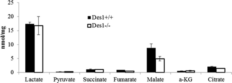 Fig 16