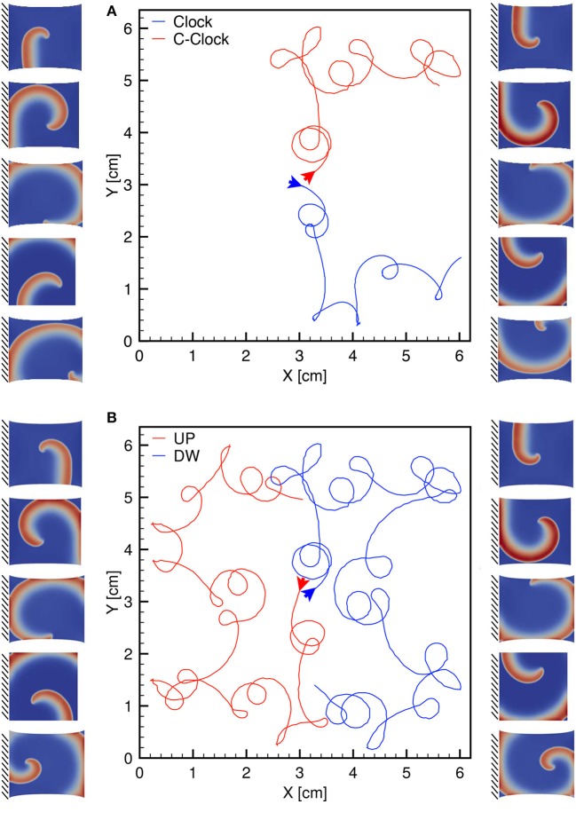 Figure 10