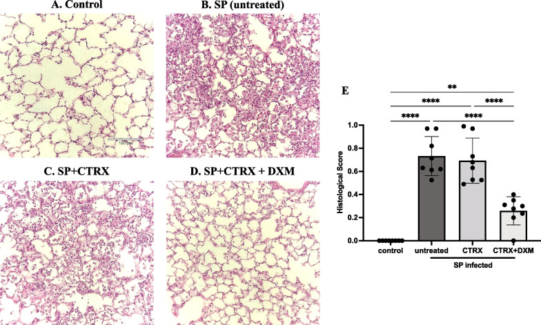 Fig. 4