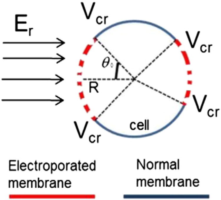 Schematic 1