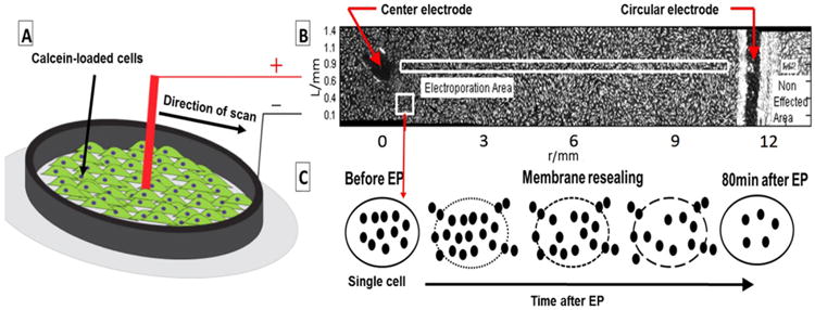 Schematic 2