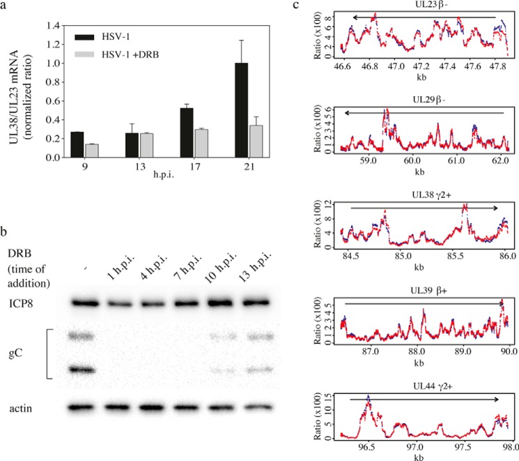 Figure 6.