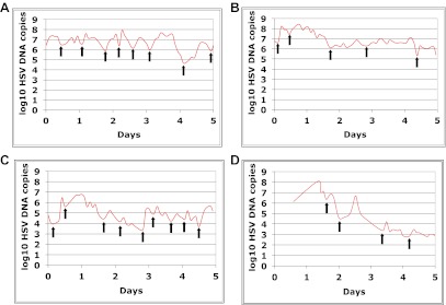 Figure 1—figure supplement 2.