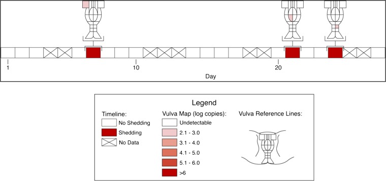 Figure 2—figure supplement 1.