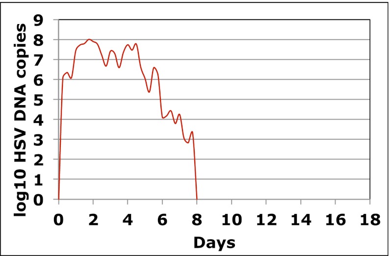 Figure 1—figure supplement 3.