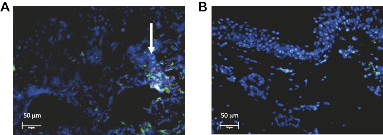 Figure 2—figure supplement 3.