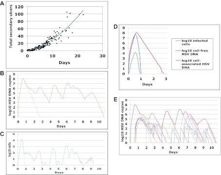 Figure 5.