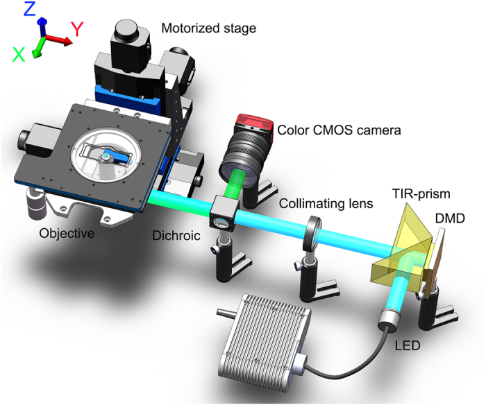 Figure 6