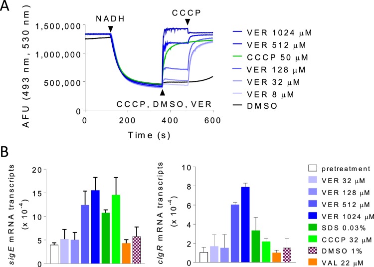 FIG 6