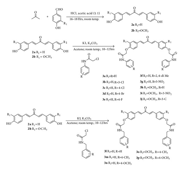 Scheme 2