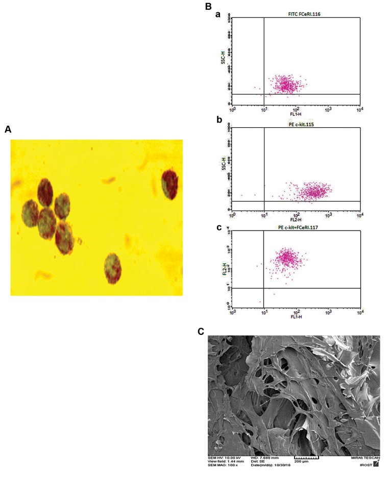 Fig.1