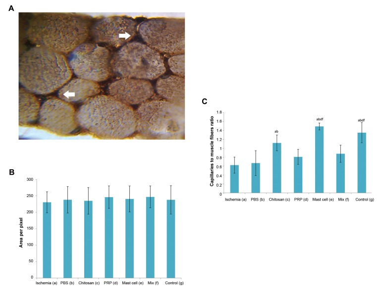 Fig.4