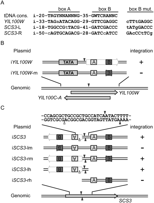 Figure 6.