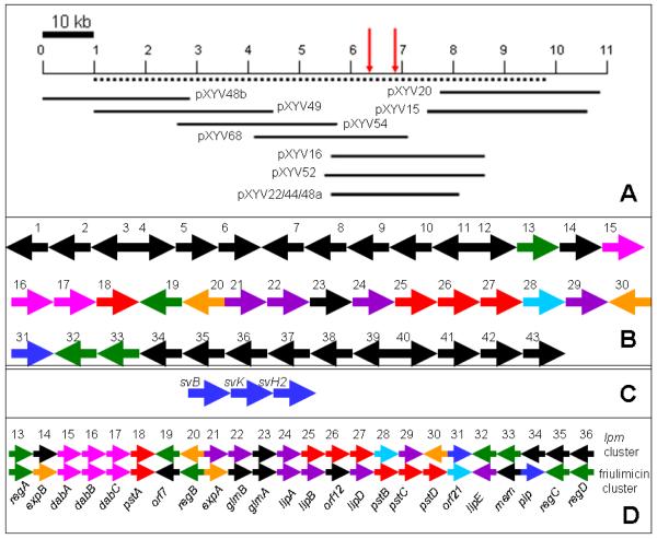 Fig. 3