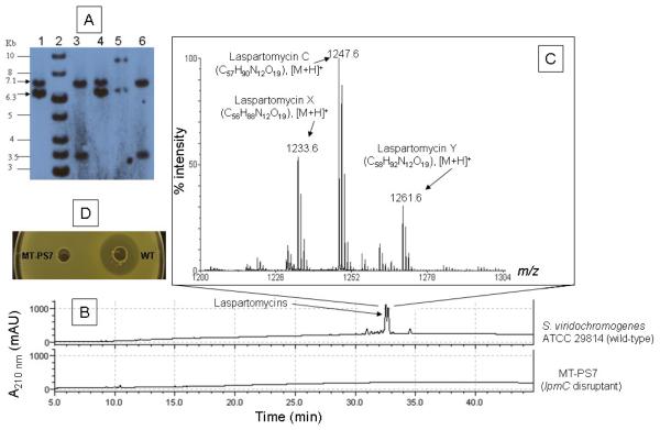 Fig. 2