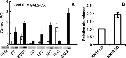 Fig. 3