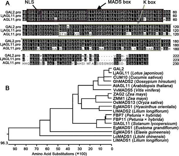 Fig. 1