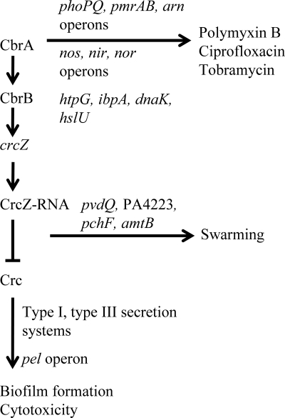 FIG. 11.