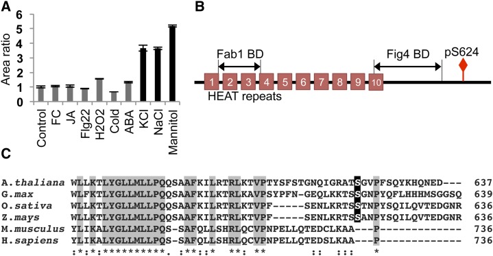 Figure 7.