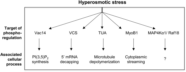 Figure 9.