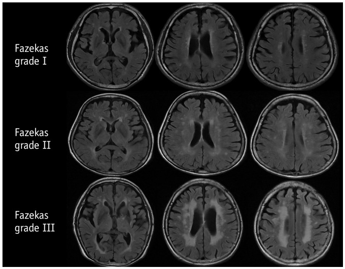 Fig. 8