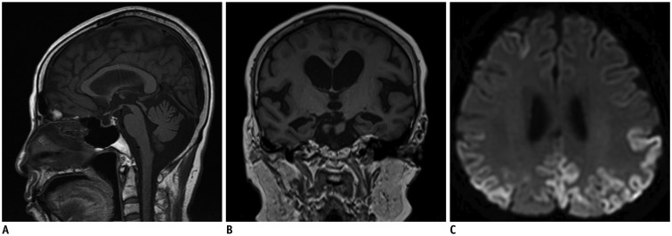 Fig. 10