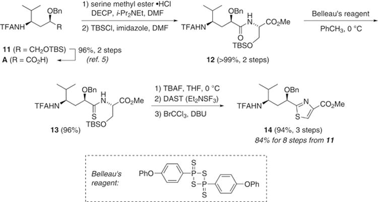 Scheme 3