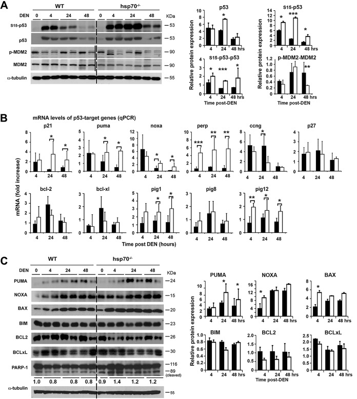 FIG 6