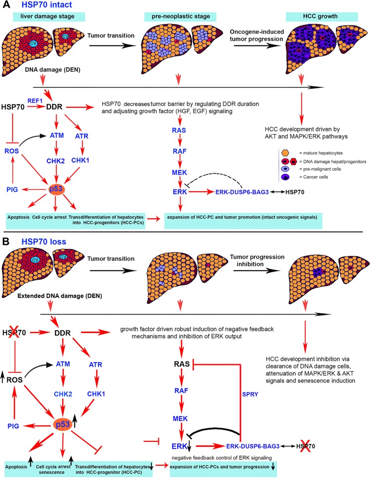 FIG 11