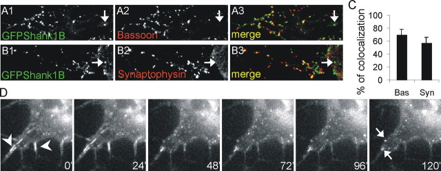 
Figure 11.
