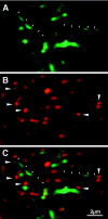 Fig. 6.