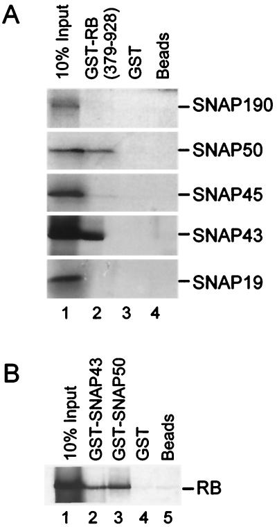 FIG. 5