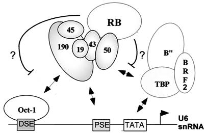 FIG. 6