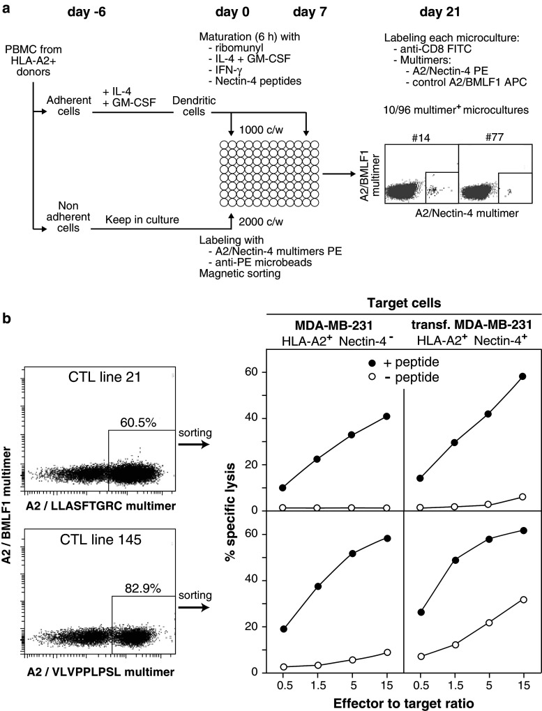 Fig. 3