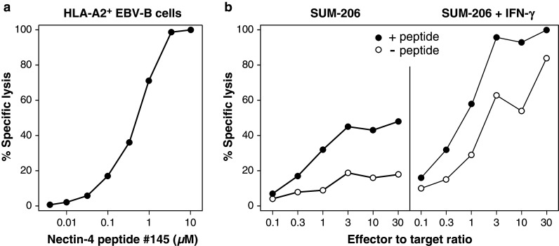 Fig. 4