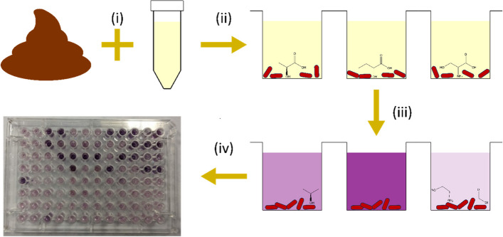 Fig. 1