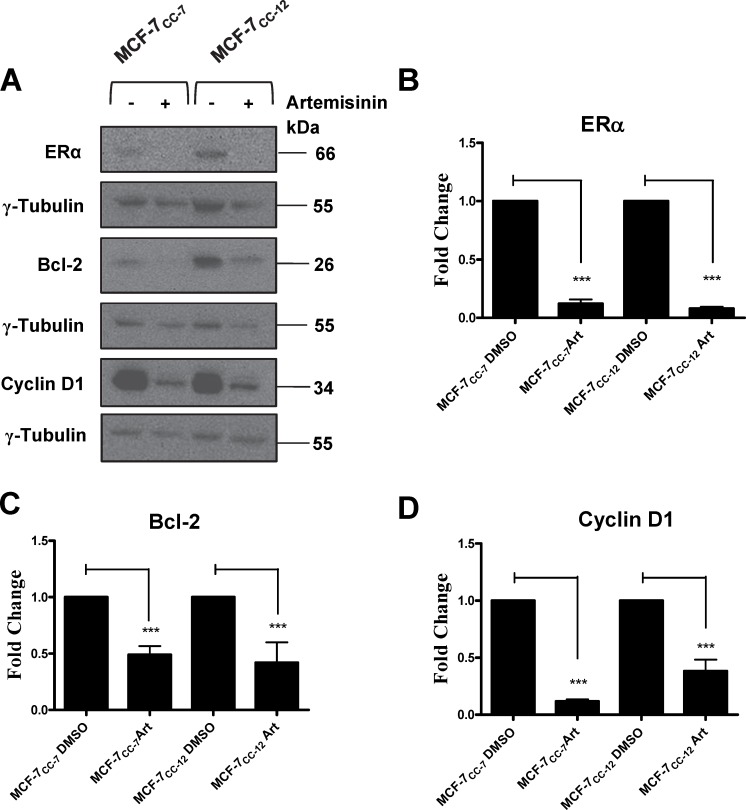 Fig 10