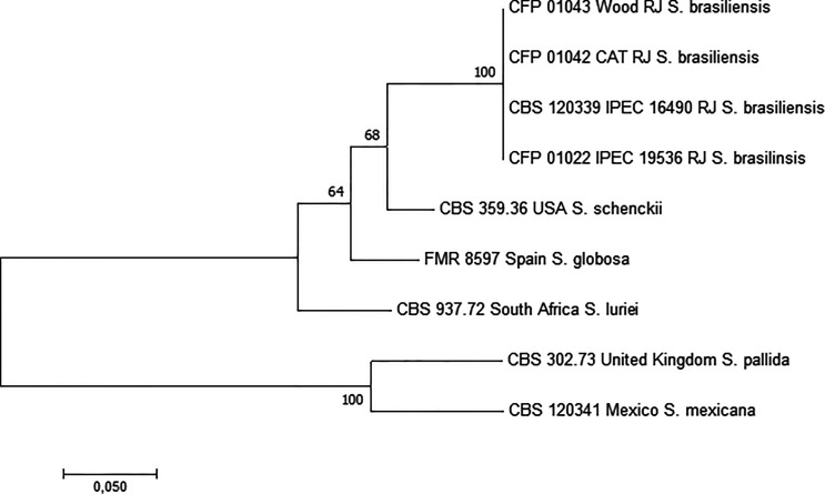 Figure 2