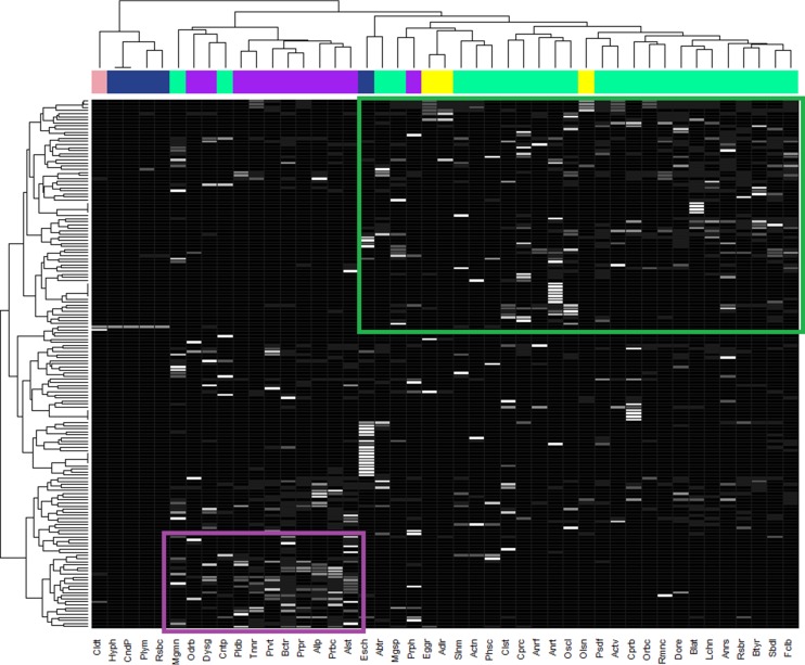 FIG 2