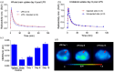 The image presents data from a study involving Sprague-Dawley rats, focusing on the effects of LPS injection on CB2R protein expression and radioactivity uptake in rat brains over three days. The study compares whole brain radioactivity uptake, radioactivity on the injected side versus the un-injected side, and CB2R protein expression in LPS injected rat brain compared to control brain and spleen observed using simple western blotting.