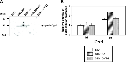 FIG. 4.