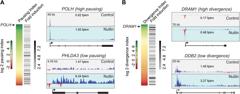 Figure 4—figure supplement 1.