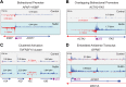 Figure 4—figure supplement 2.